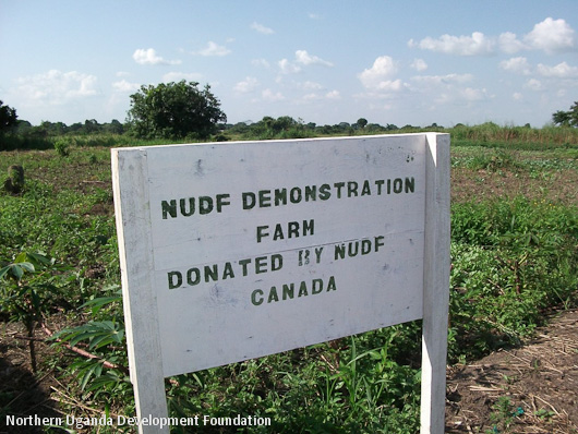 demonstration-farm-northern-uganda-development-foundation